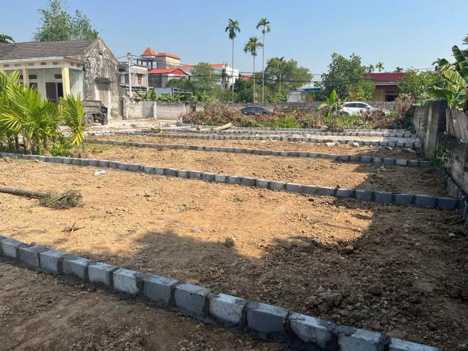 Đất nền xã Cao Nhân, Thủy Nguyên, Hải Phòng 60m² giá 850 triệu - Cơ hội đầu tư hấp dẫn!