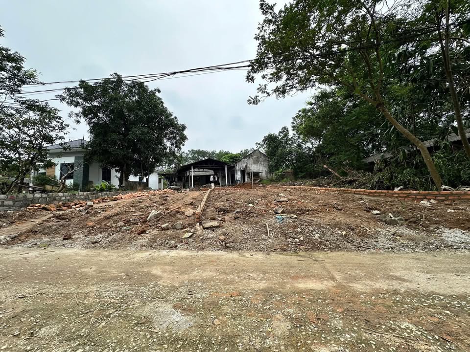 Đất thổ cư Hoàng Hoa Tam Dương 100m² giá chỉ 6xx triệu - Đường thông thoáng, view đẹp!