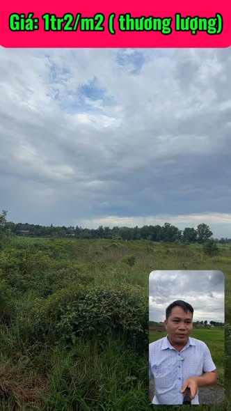 Đất vườn đường Trãi Đá, xã Tân An Hội, huyện Củ Chi 4838m² - Giá tốt, thương lượng!