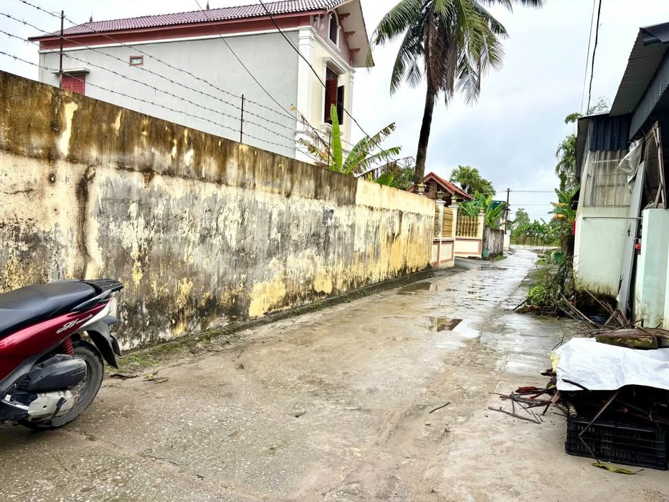 Lô đất đẹp tại phố Xích Ngọc, TP. Thanh Hóa 98m² giá 1.45 tỷ - Tiềm năng đầu tư cao!