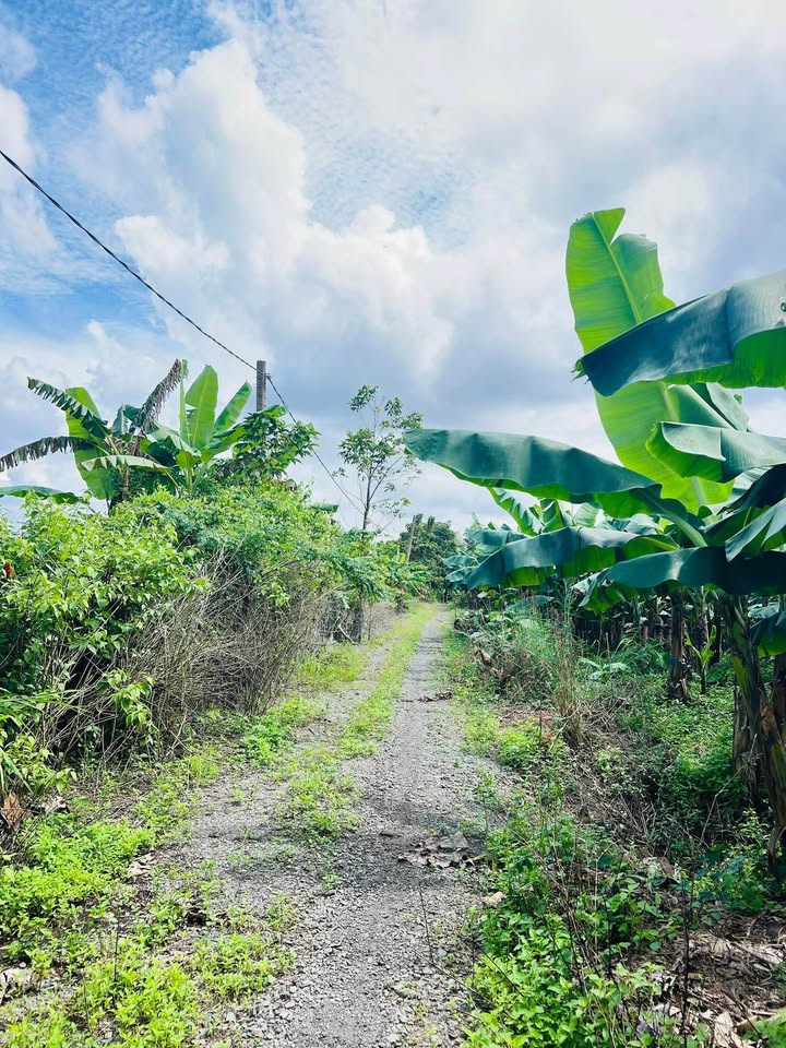 Đất nền Phú Lợi, Định Quán 990m² giá 320 triệu - Cần bán gấp!