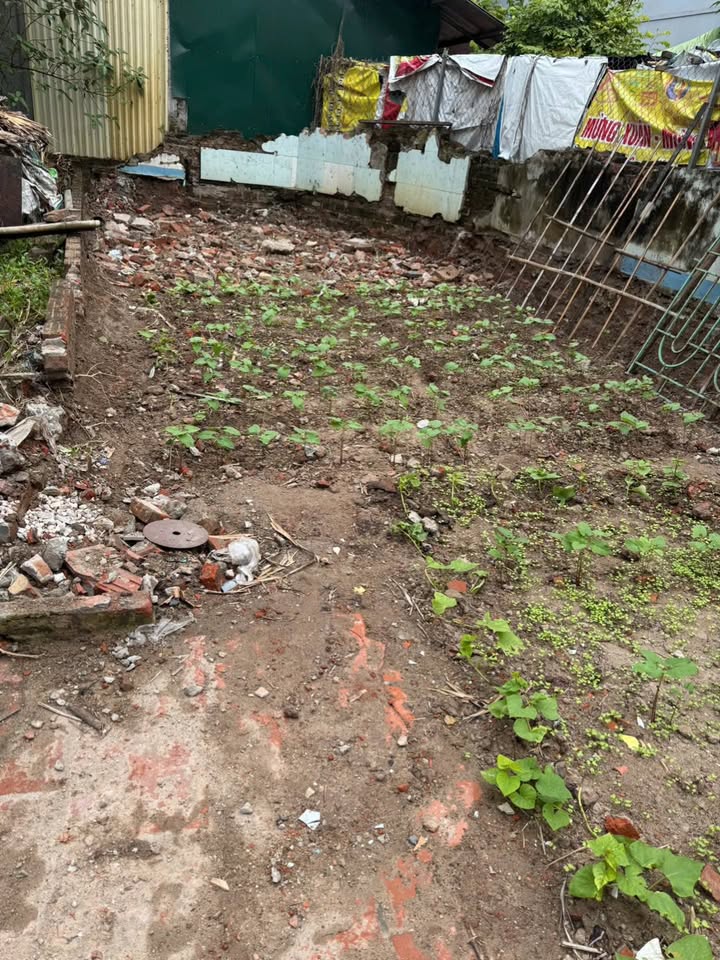 Đất Đa Tốn Gia Lâm 40m² giá 3.2 tỷ - Đầu tư sinh lời hấp dẫn!