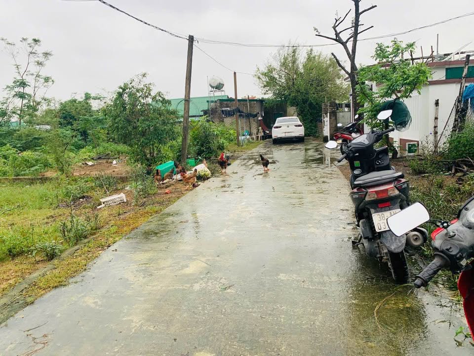 Bán đất Hòa Thái Vinh 187.5m² giá 1.85 tỷ - Vị trí tuyệt đẹp!