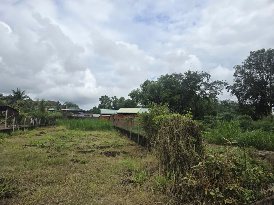 Đất vườn Thái Mỹ Củ Chi 800m² giá 1.35 tỷ - Đường nhựa, vị trí đẹp!