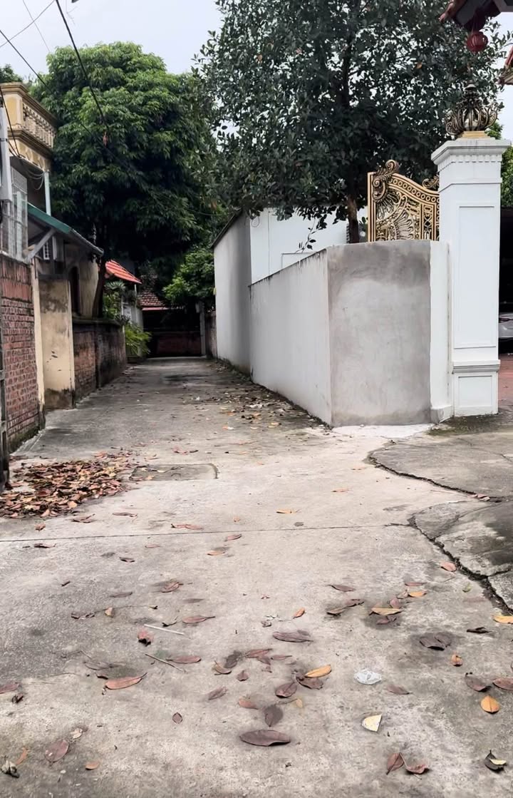 Đất nền chính chủ tại Phường Ninh Xá, Thuận Thành, Bắc Ninh - 63m² giá 1 tỷ, cơ hội đầu tư hấp dẫn!