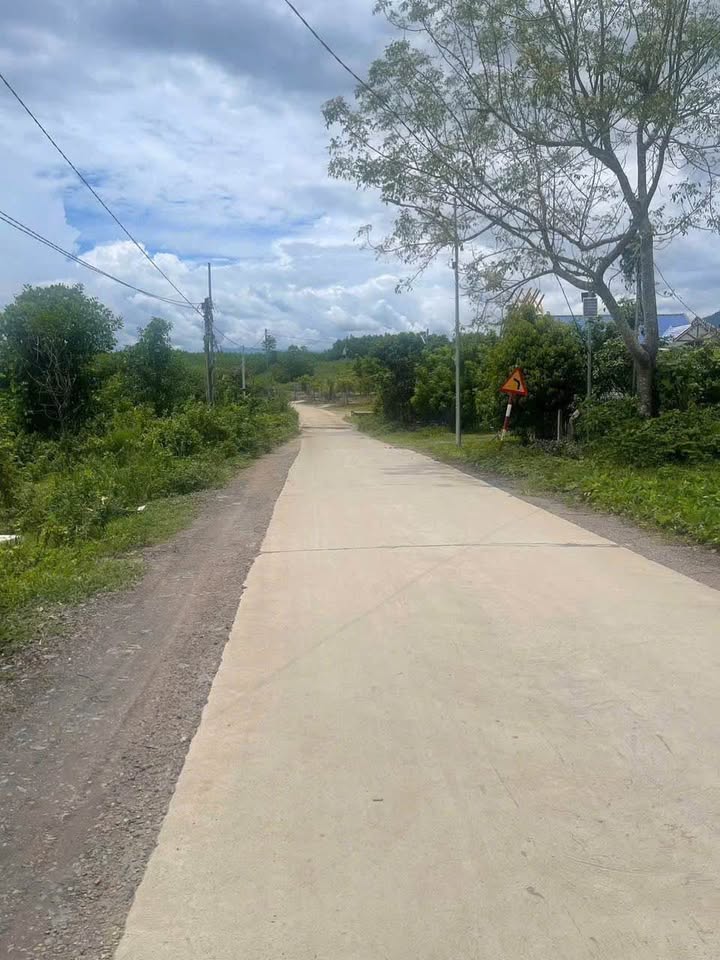 Lô đất đẹp tại Khánh Hiệp 1000m² giá 800 triệu - Cơ hội đầu tư hấp dẫn!