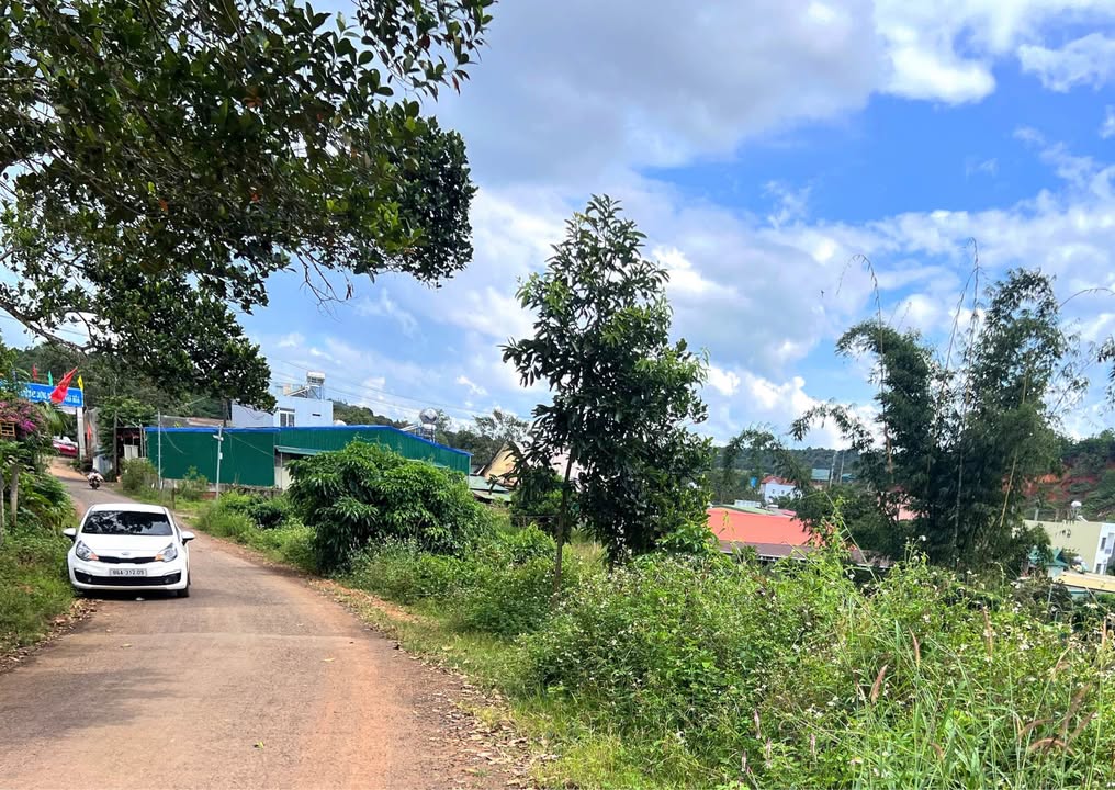 Đất thổ cư 246m² phường Nghĩa Trung, Gia Nghĩa, Đắk Nông - Giá chỉ 950 triệu!