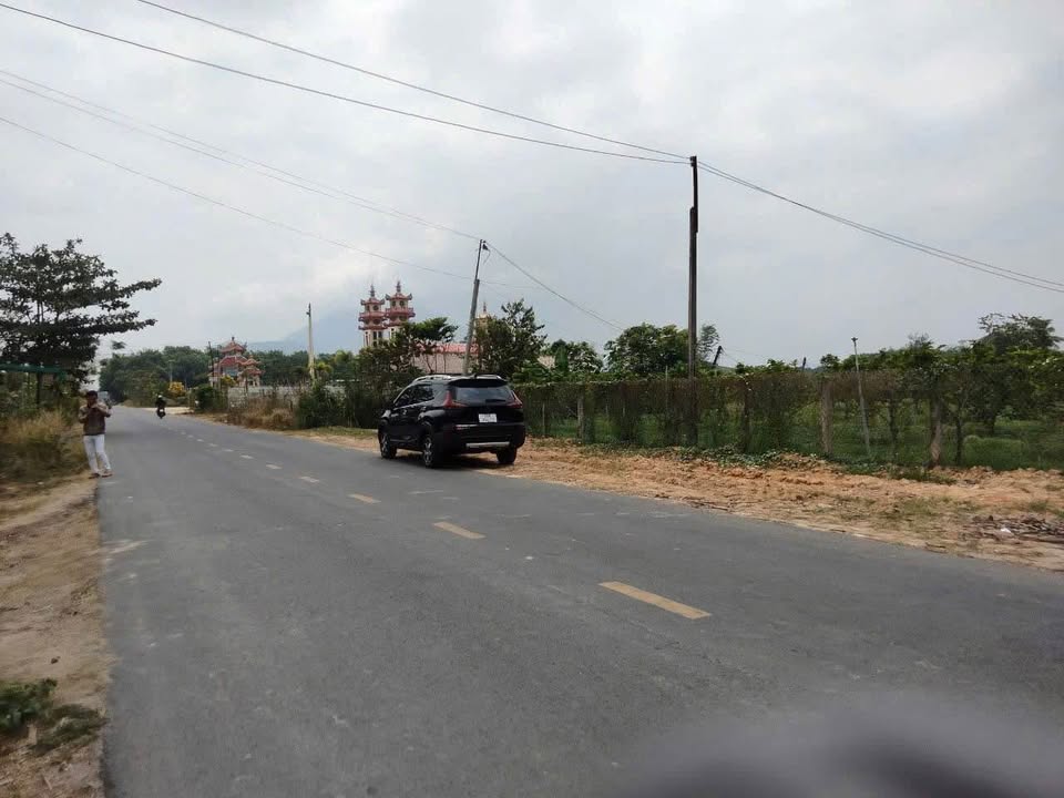 Đất mặt tiền đường nhựa Thạnh Tân 10.000m² - Đầu tư sinh lời ngay!