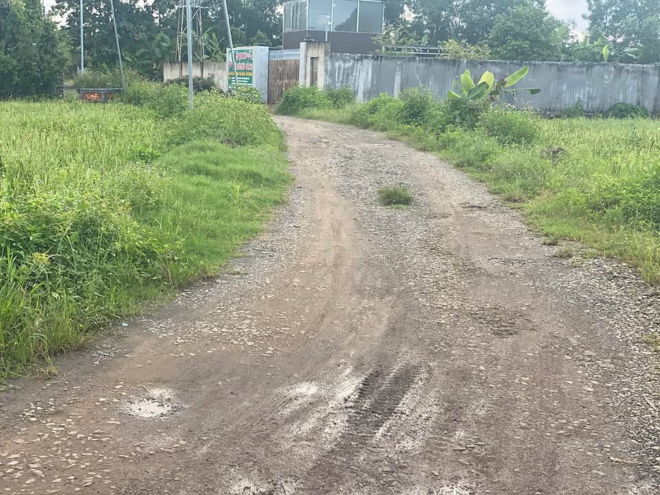 Đất nền 1465m² xã Gia Canh, Định Quán - Sổ hồng chính chủ chỉ 1.3 tỷ!