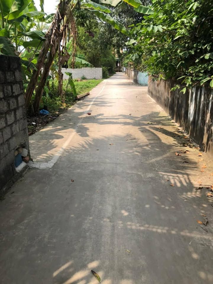 Đất nền Hậu Lộc 604.5m² giá 1.2 tỷ - Tiềm năng đầu tư cao!