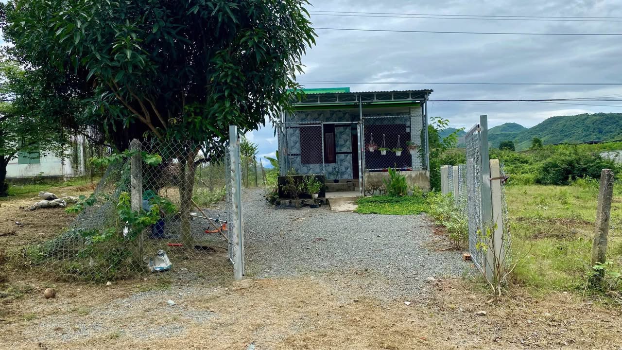 Bán đất tặng nhà thôn Sơn Thành, Khánh Phú 1142m² giá 980 triệu - Sổ đỏ chính chủ!