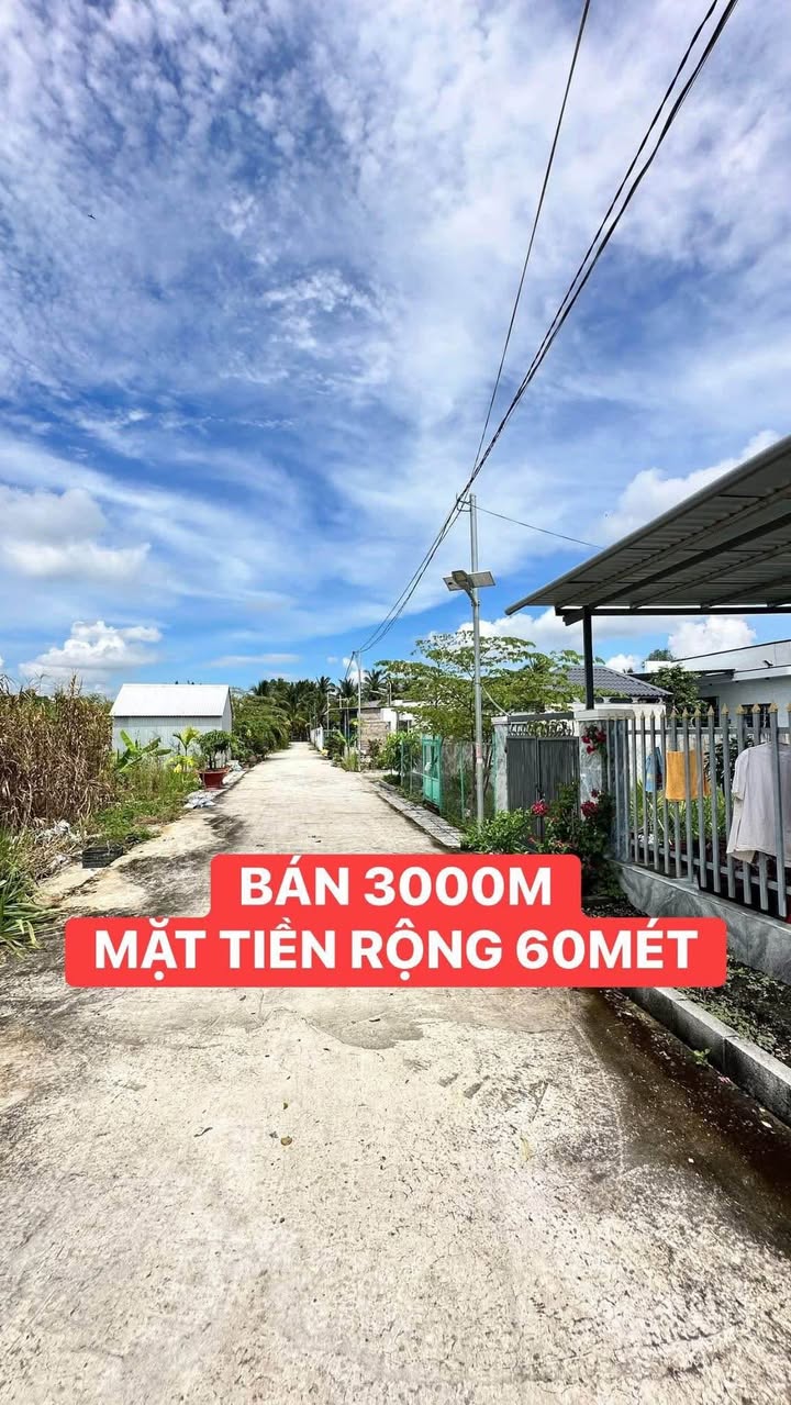 Đất nền 3000m² mặt tiền 60m tại Rạch Ngã Nhánh, Cần Thơ - Giá chỉ 4.5 tỷ!