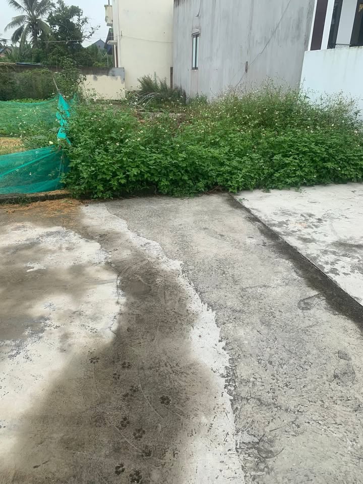 Đất nền Kiến Thụy, Hải Phòng 87m² giá chỉ 8xx triệu - Đầu tư sinh lời ngay!