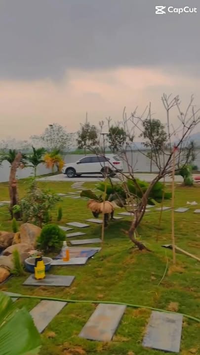 Nhà vườn Cổ Đạm, Nghi Xuân 1000m² giá 3 tỷ - Phong thủy vượng khí!