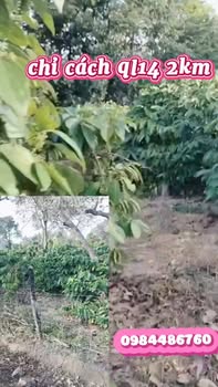 Đất Farm mặt tiền đường bê tông xã Ea Ral 3060m² giá chỉ 1.7 tỷ - Cơ hội đầu tư tuyệt vời!