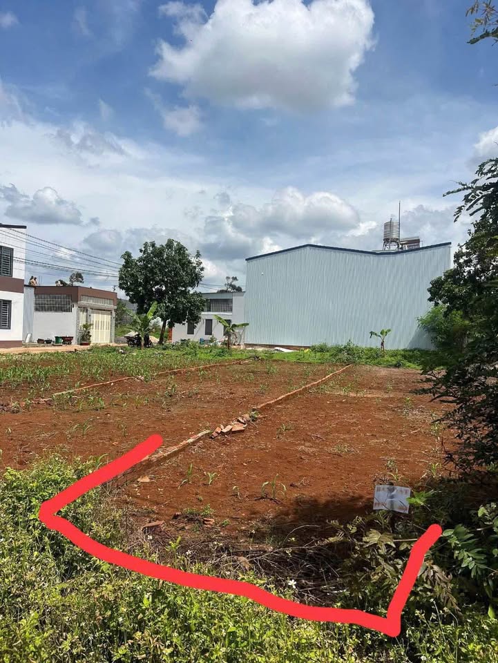 Đất nền Buôn Ma Thuột 110m² giá 1.6 tỷ - Đầu tư sinh lời lý tưởng!