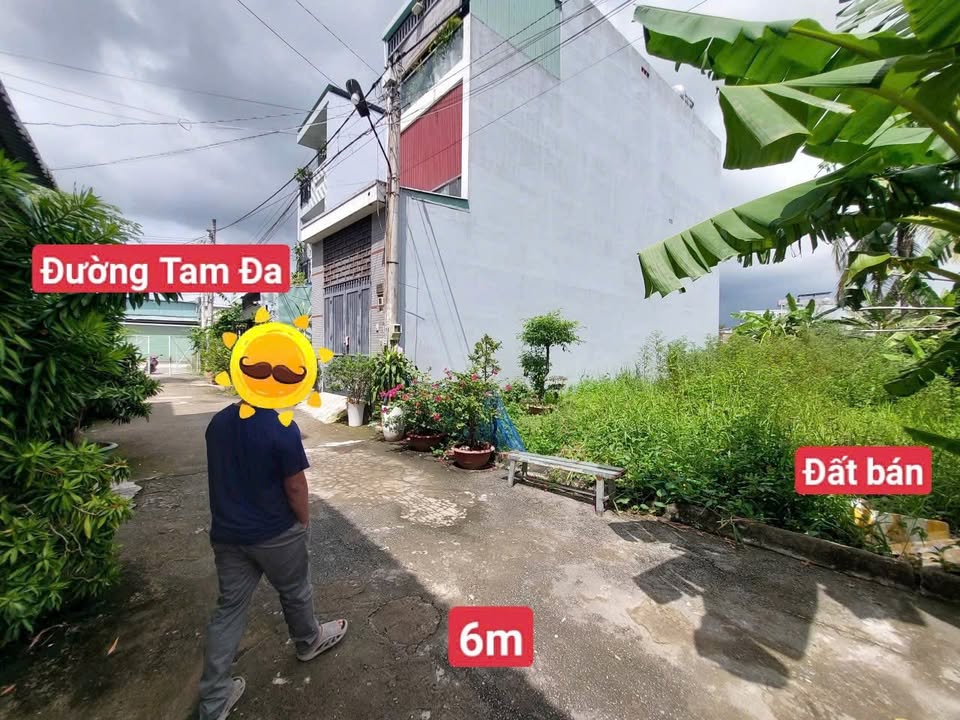 Đất nền hẻm 155/1 Tam Đa 73m² giá 3,65 tỷ - Cơ hội đầu tư tuyệt vời!