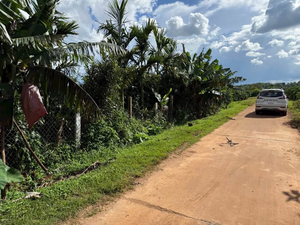 Đất nông nghiệp Đồng Bằng, Biển Hồ, 12600m² - Cơ hội đầu tư vàng!