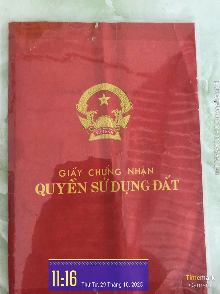 Đất nền Tiểu Cần 1.110m² giá 500 triệu - Mặt tiền đường nhựa thuận lợi!