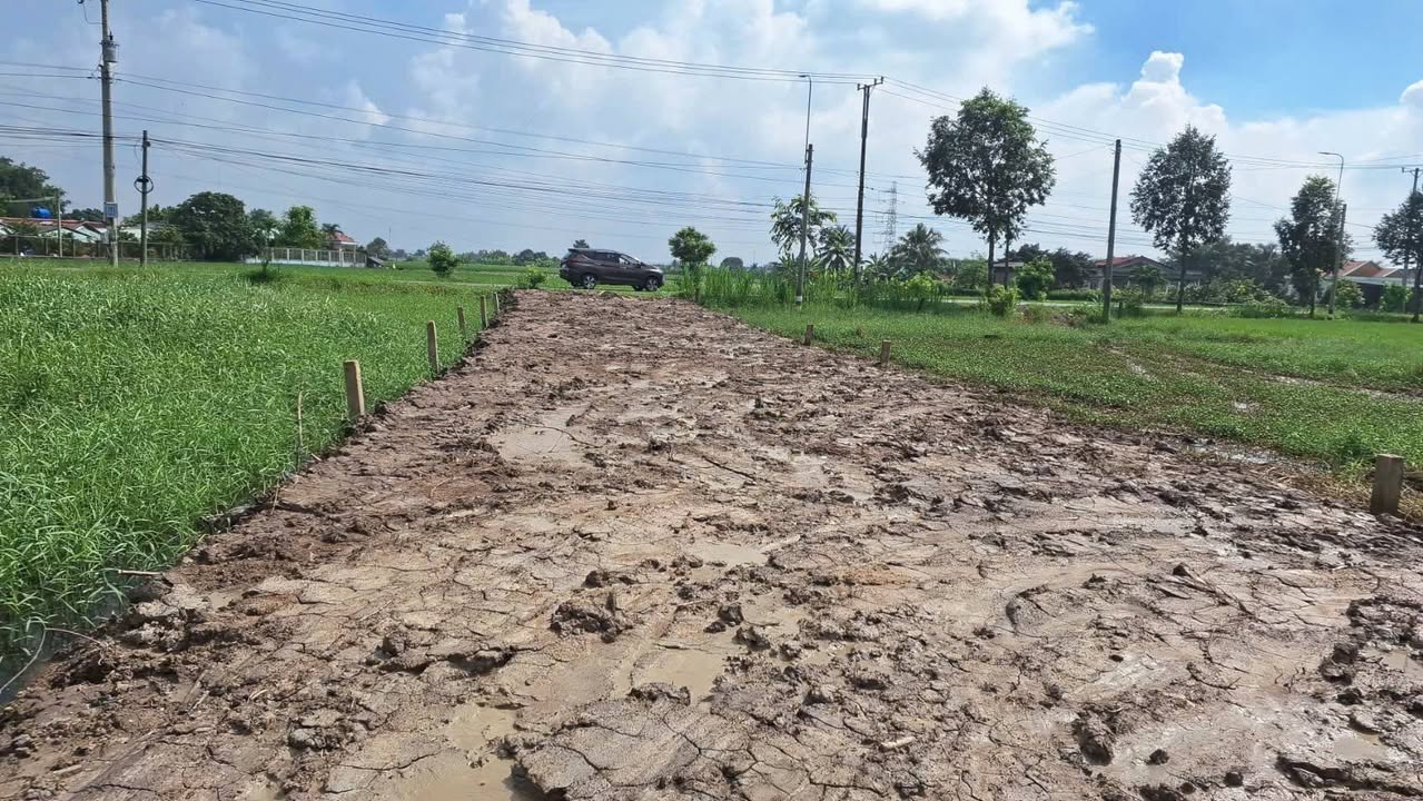 Đất thổ vườn 1500m² tại Long An - Giá chỉ 4.5 tỷ, thương lượng tốt!