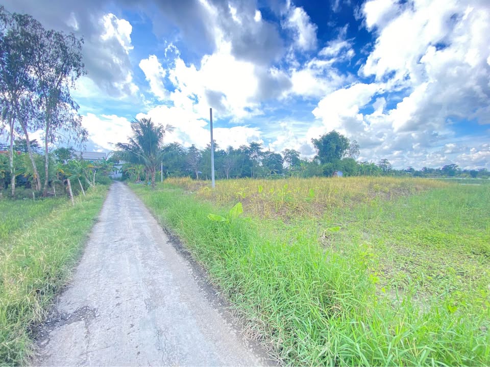 Đất nền mặt tiền lộ nhựa xã Vĩnh Chánh 2000m² - Sổ hồng chính chủ, giao dịch nhanh chóng!