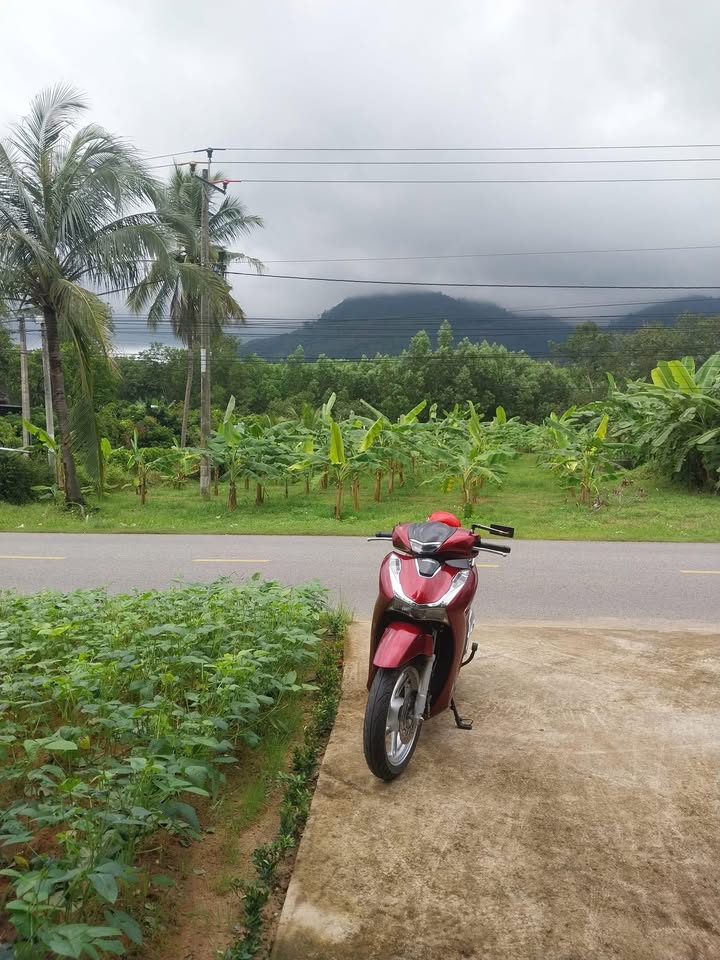 FrontHouse mặt tiền đường 717, xã Đức Phú, huyện Tánh Linh, 315m² giá 478.8 triệu - Kinh doanh sầm uất!