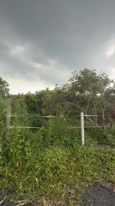 Đất xã hội Xuyên Mộc 2036m² giá 1.75 tỷ - Cơ hội đầu tư hấp dẫn!