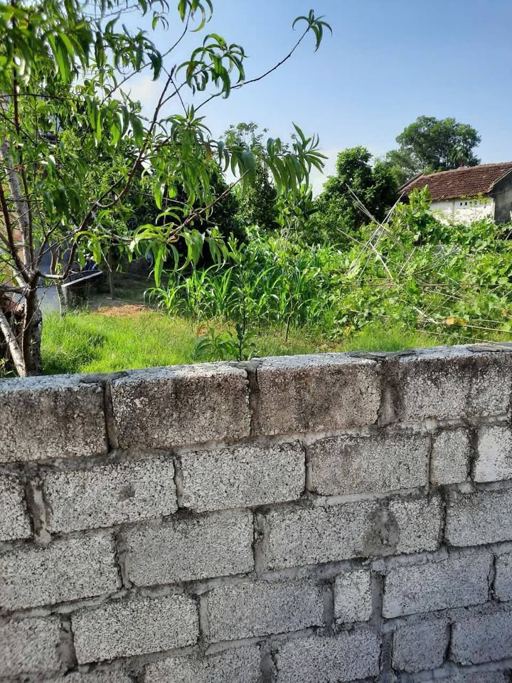 Đất thổ cư Tiến Nông, Triệu Sơn 135m² giá 500 triệu - Đường ô tô thông thoáng!