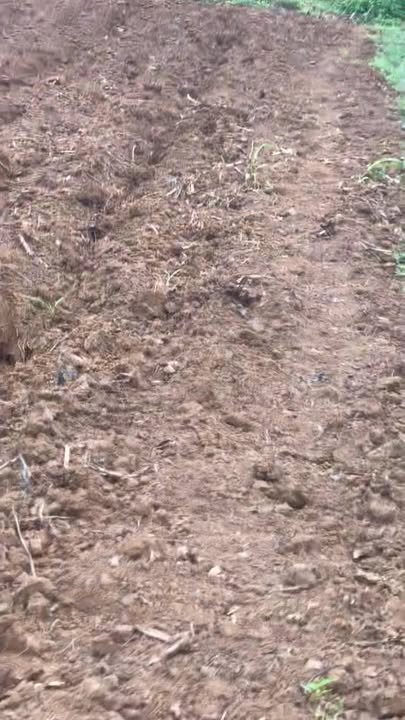 Đất Nền Mặt Tiền Quốc Lộ 45, Phú Long, Ninh Bình - Diện Tích 1.924,2m², Cơ Hội Đầu Tư Sinh Lời!