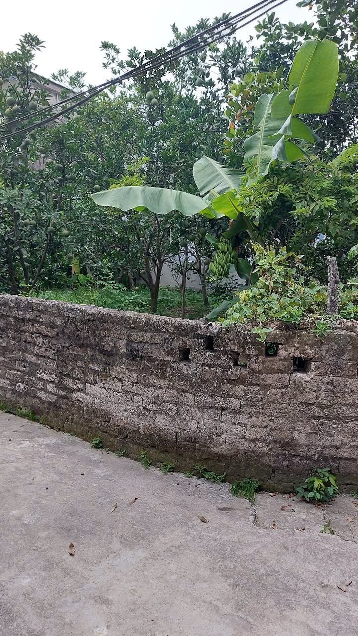 Đất thổ cư Yên Quang, Ý Yên 200m² giá thỏa thuận - Đường ô tô rộng rãi!