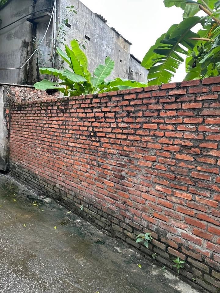 Bán đất chính chủ Như Quỳnh, Văn Lâm, Hưng Yên 87m² - Sổ đỏ chính chủ, giá chỉ 6 tỷ!