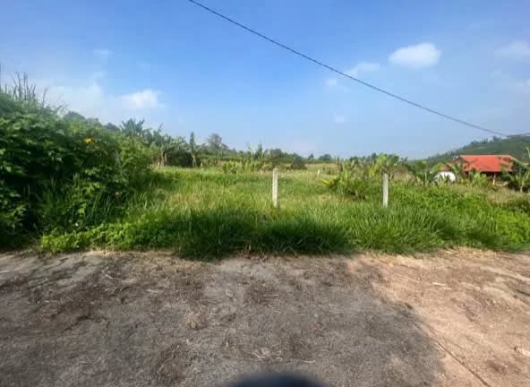 Đất nông nghiệp hẻm 99 Nguyễn An Ninh 495.6m² giá chỉ 860 triệu - Cơ hội đầu tư tuyệt vời!