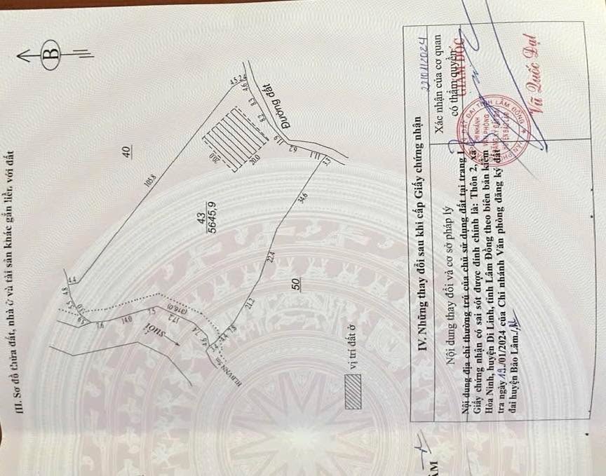 Đất Lộc An Bảo Lâm 6000m² giá 2.778 tỷ - Đường xe hơi tận nơi