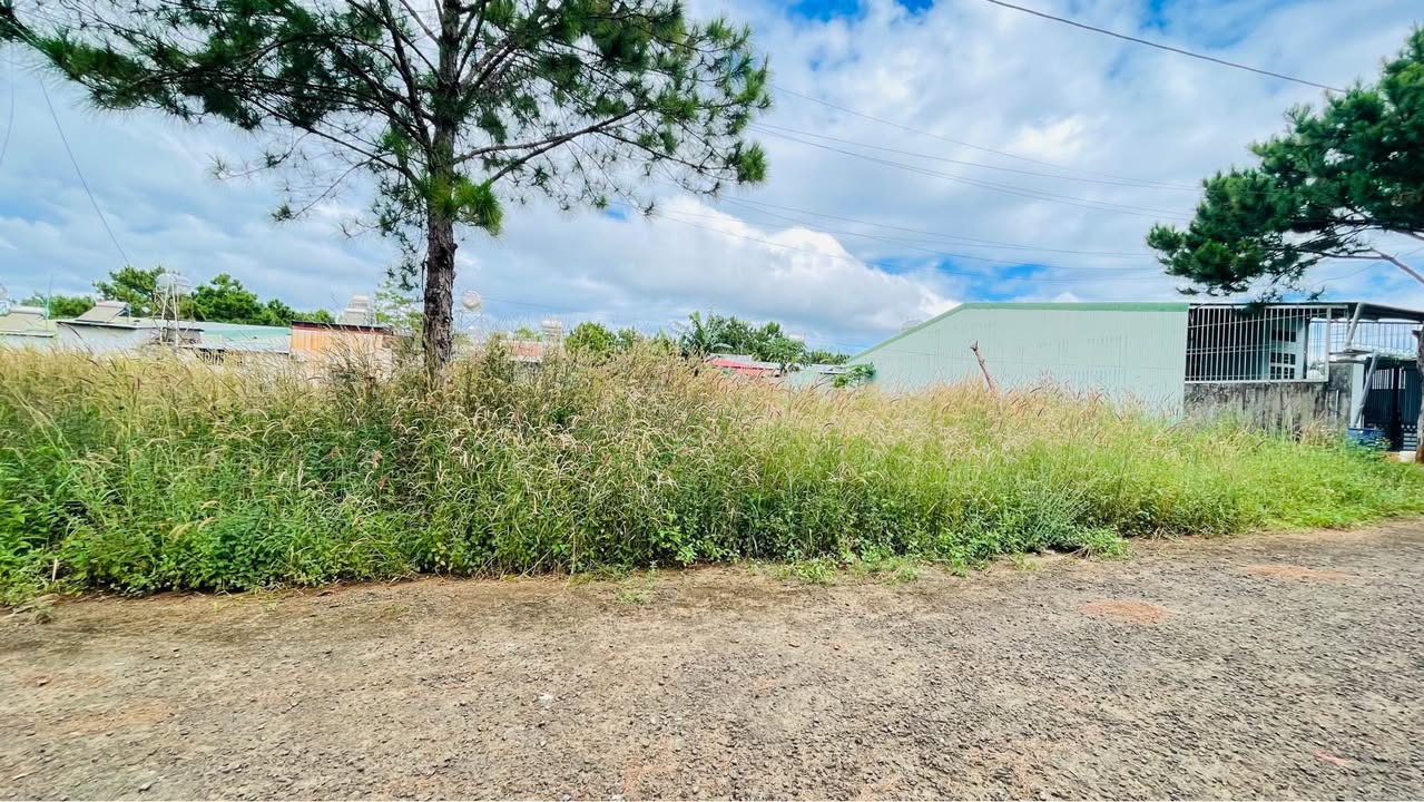 Đất dân cư Diên Phú, Trần Nhật Duật, Gia Lai 300m² giá 795 triệu - Đầu tư sinh lời nhanh chóng!