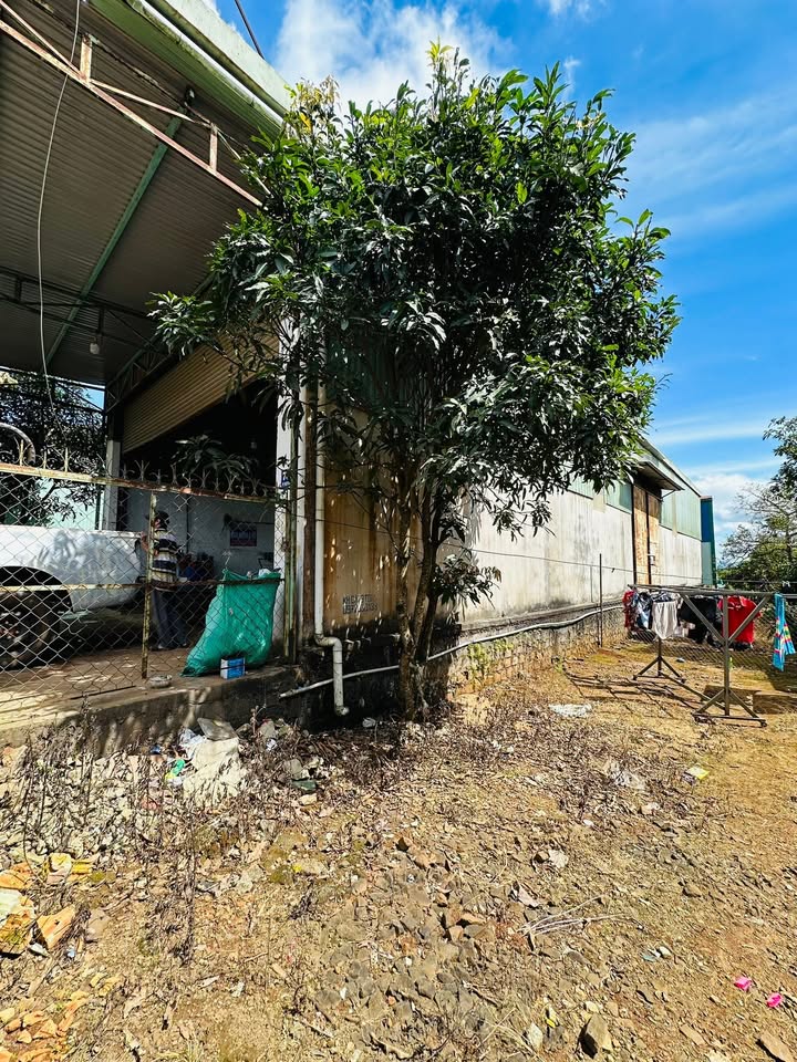 Đất mặt tiền đường Võ Nguyên Giáp, P. Hội Phú, Gia Lai 660m² - Vị trí đẹp thuận tiện kinh doanh!