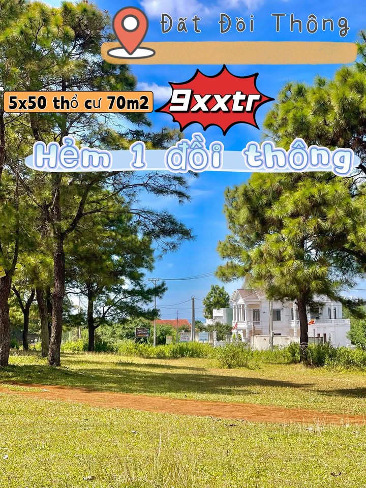 Đất thổ cư Hẻm 1 Phan Đình Phùng, Pleiku 125m² chỉ 900 triệu - Cơ hội đầu tư không thể bỏ lỡ!