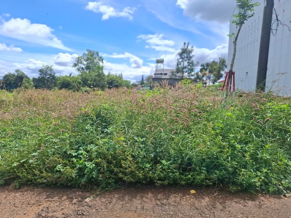 Đất nền mặt tiền Lê Đức Thọ, Pleiku 147m² giá chỉ 1.2 tỷ - Đầu tư sinh lời ngay!