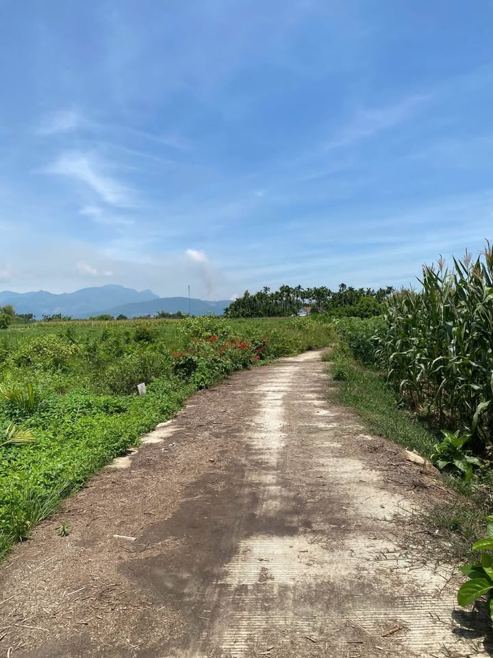 Đất nền Nghĩa Trung, Tư Nghĩa 800m² giá chỉ 200 triệu - Cơ hội đầu tư tuyệt vời!