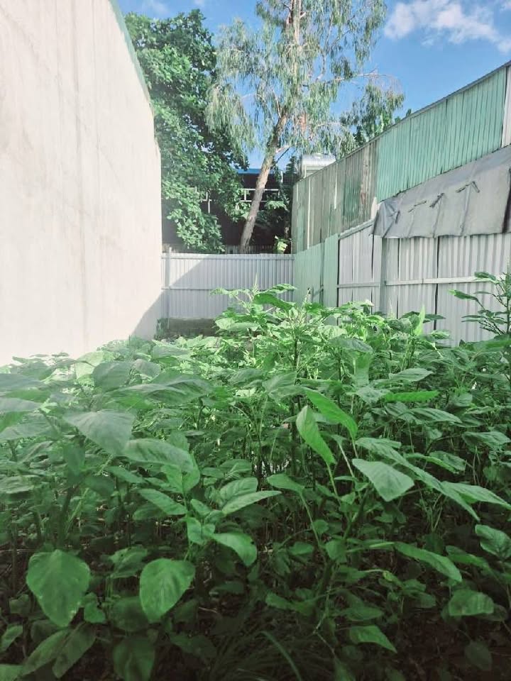 Đất bán Tân Phú 60m² giá 5.5 tỷ - Đường rộng 8m, xây dựng tự do!