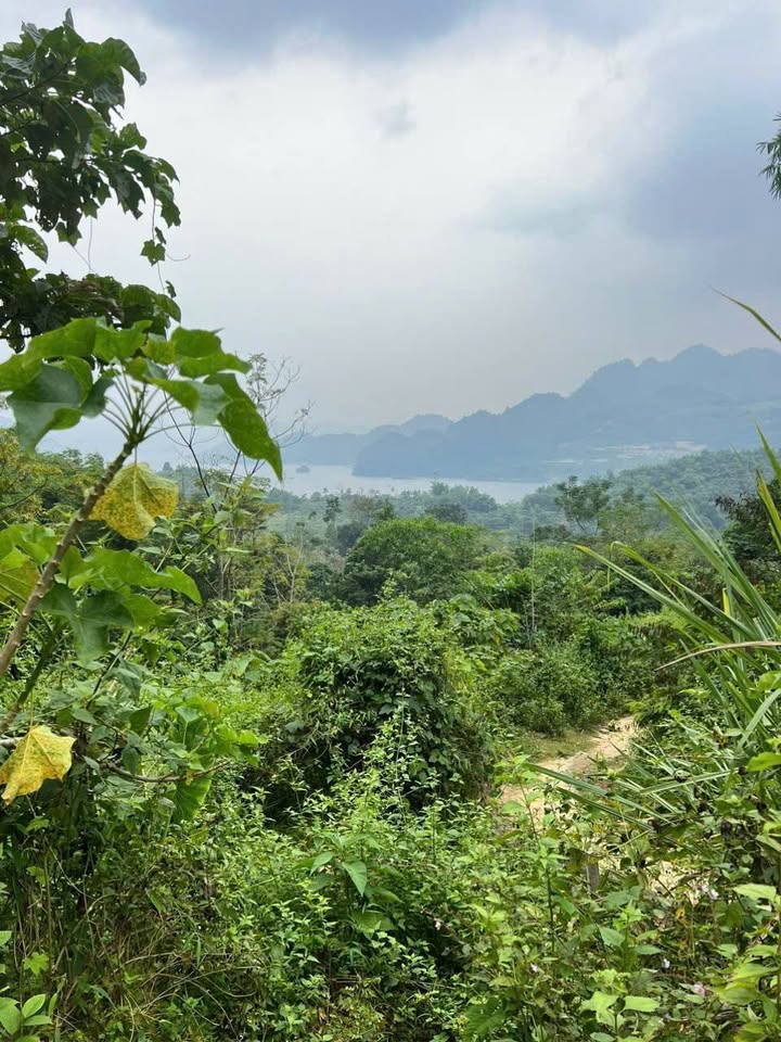 Đất ven Hồ Hòa Bình - Xã Hiền Lương, Đà Bắc 2500m² giá 2 tỷ - Cơ hội đầu tư hấp dẫn!