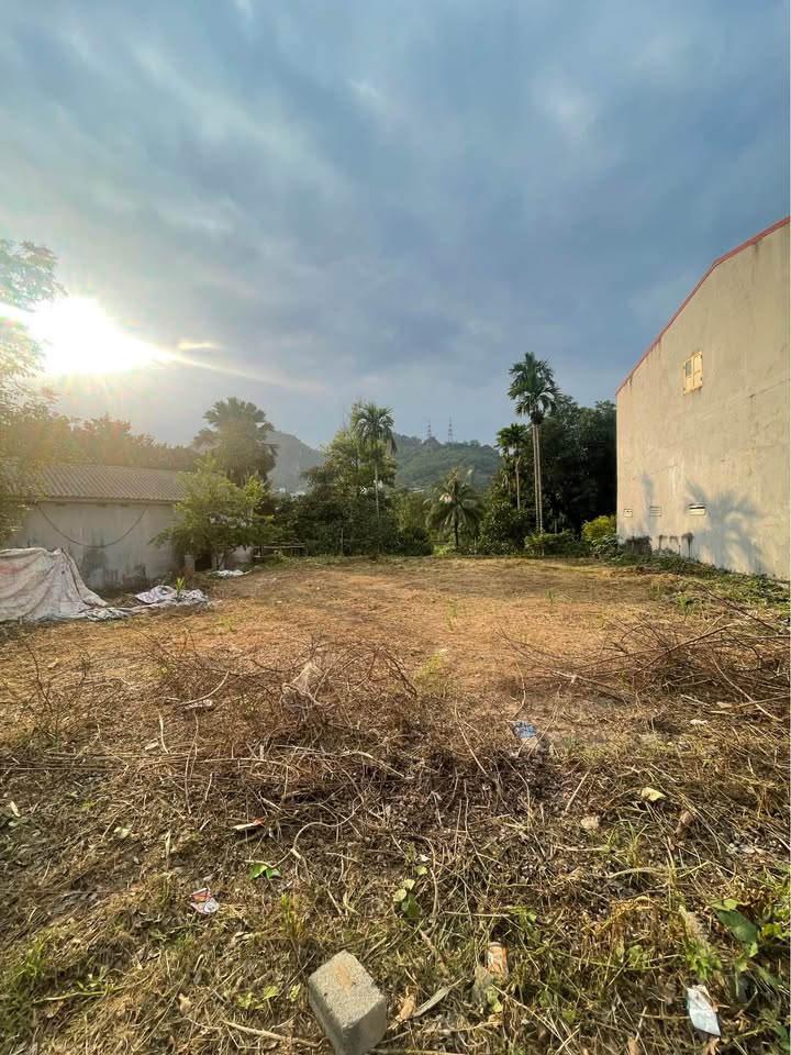 Đất thổ cư Tân Hòa 300m² giá thỏa thuận - Sổ đỏ chính chủ, đầu tư sinh lời!