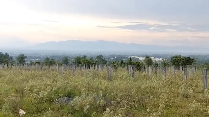 Đất nền Hàm Đức 3600m² giá 260 triệu - Cơ hội đầu tư tuyệt vời!