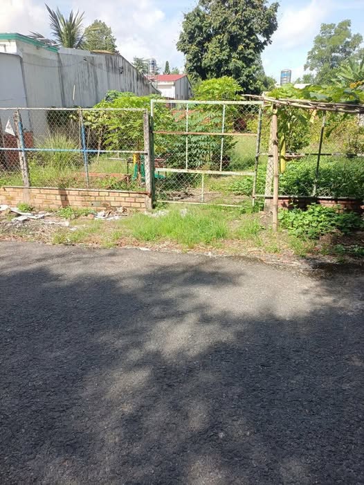 Đất thổ cư 153m² tại Hẻm 24 Ngô Quyền, Tây Ninh - Giá chỉ 128 triệu VND