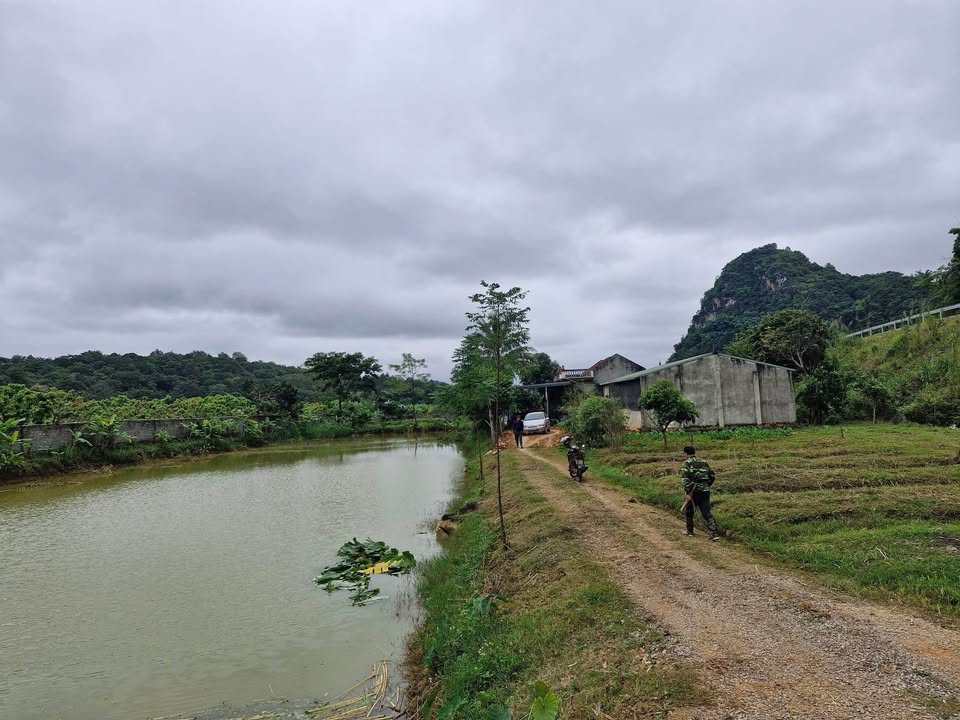 Đất nền 7.000m² tại Chiềng Sinh, Sơn La - Thổ cư 400m², sẵn nhà kiên cố!