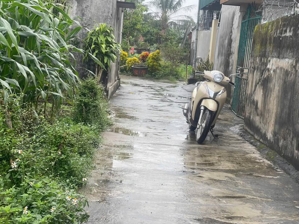 Đất Tân Học Thái Thụy 110m² giá 500 triệu - Vị trí đắc địa gần trường học!