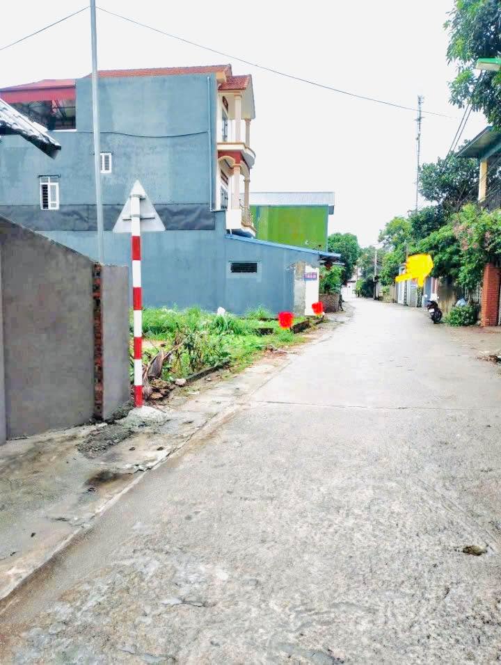 Đất nền Minh Phú, Sóc Sơn 86m² giá thỏa thuận - Mặt tiền đường chính gần trường học!