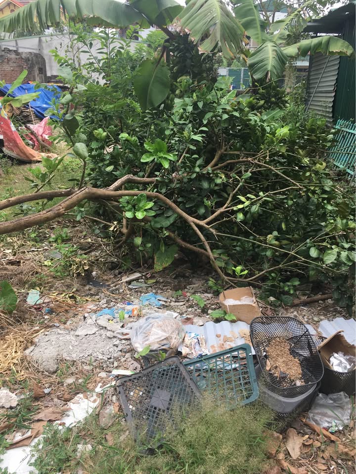 Nhà mặt đường nhựa 30m tại Đại Thanh, Hà Nội 40.5m² giá 2 tỷ - Đầu tư sinh lời ổn định!