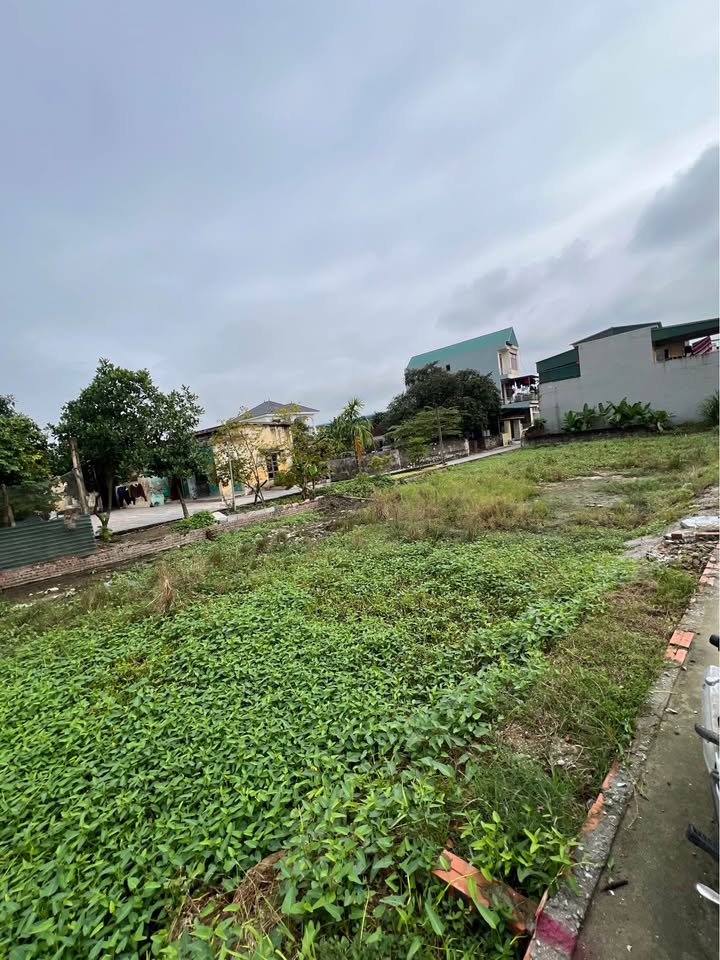 Đất nền khu phố Quang, Đông Quang, 68m² giá 1.15 tỷ - Chính chủ bán gấp!