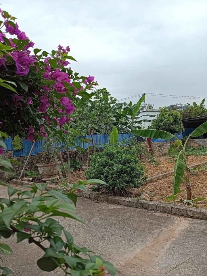 Lô đất Ninh Sơn, Hải Phòng 70m² giá chỉ 400 triệu - Vị trí đẹp gần chợ Kỳ Sơn!