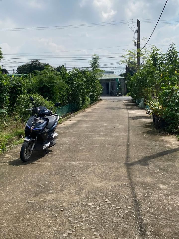 Đất nền Trảng Bom Đồng Nai 98m² giá 1.2 tỷ - Sổ riêng thổ cư, vị trí đẹp!